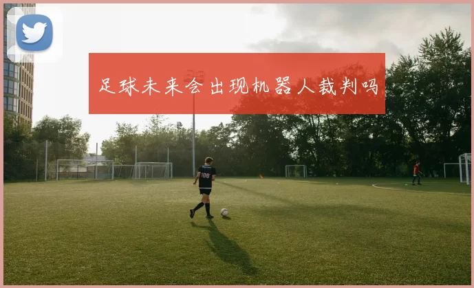 足球未来会出现机器人裁判吗