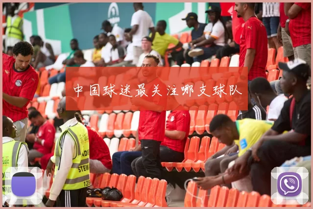 中国球迷最关注哪支球队