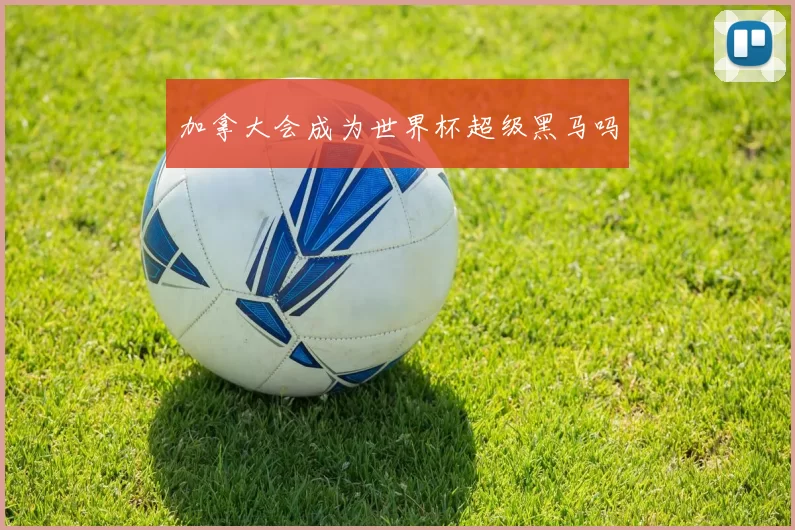 加拿大会成为世界杯超级黑马吗