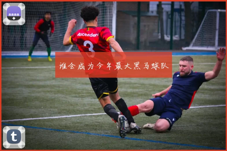 谁会成为今年最大黑马球队